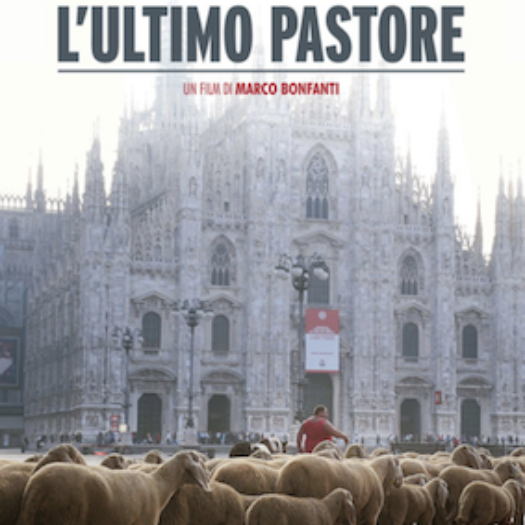 La vita è un sogno