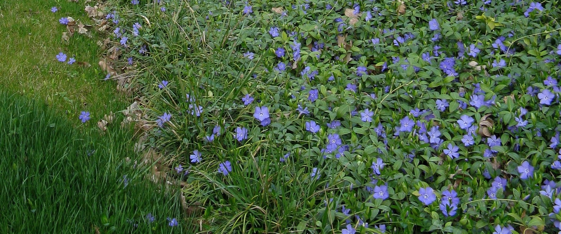 Calendario di primavera