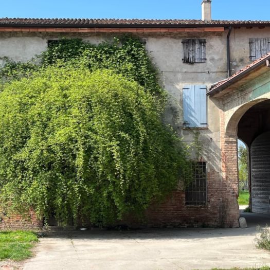 L'atelier di Fabrizio Merisi