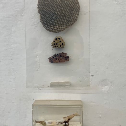 L'atelier di Fabrizio Merisi
