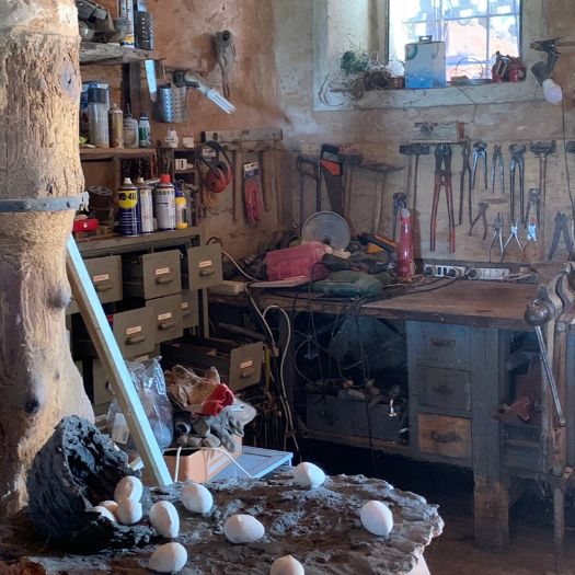 La Silenziosa di Italo Lanfredini